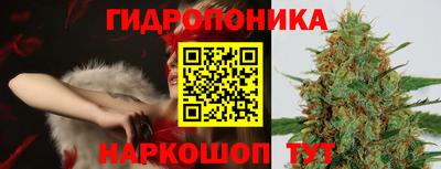 Альфа ПВП Пыть-Ях