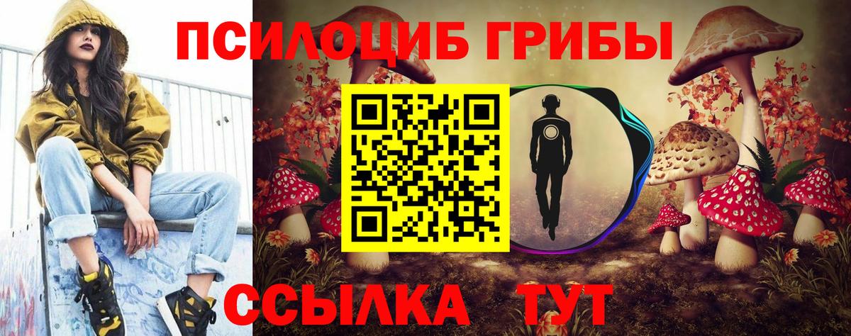 Псилоцибиновые грибы Psilocybe  Вход с VPN  Светлоград  Псилоцибиновые грибы Psilocybine cubensis 